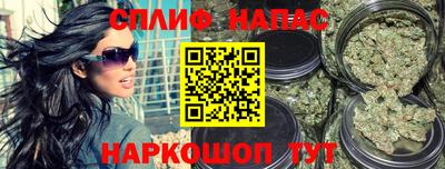 МДПВ Краснодар