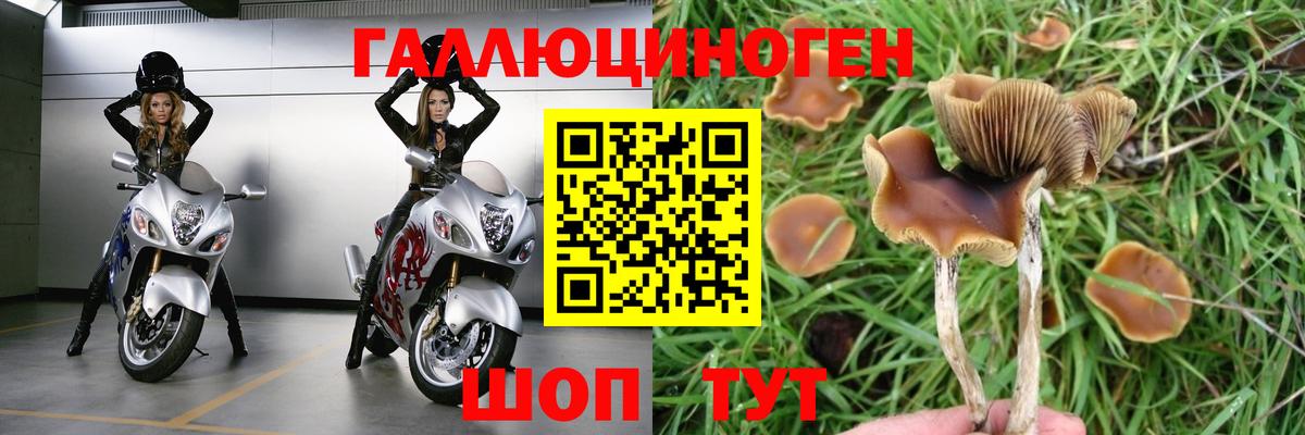 Галлюциногенные грибы ЛСД  Галлюциногенные грибы GOLDEN TEACHER  Коряжма  Вход с VPN 